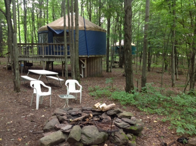 Tree House Yurts